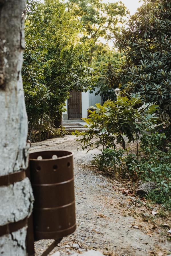 Casa Campestre Las Ruedas Daire Parras de la Fuente Dış mekan fotoğraf